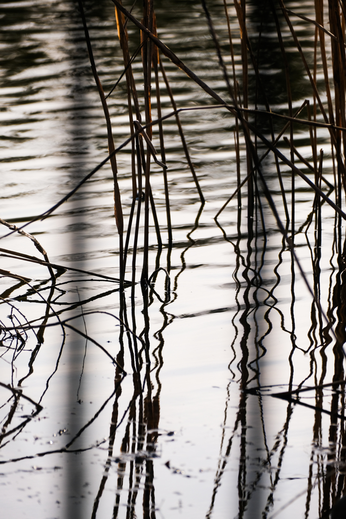散歩道（古墳公園）