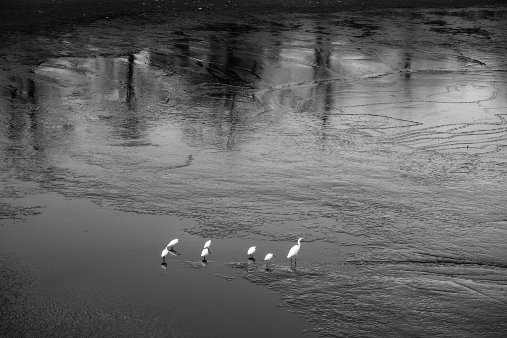 干潟になった波志江湖畔