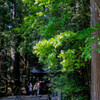 赤城神社