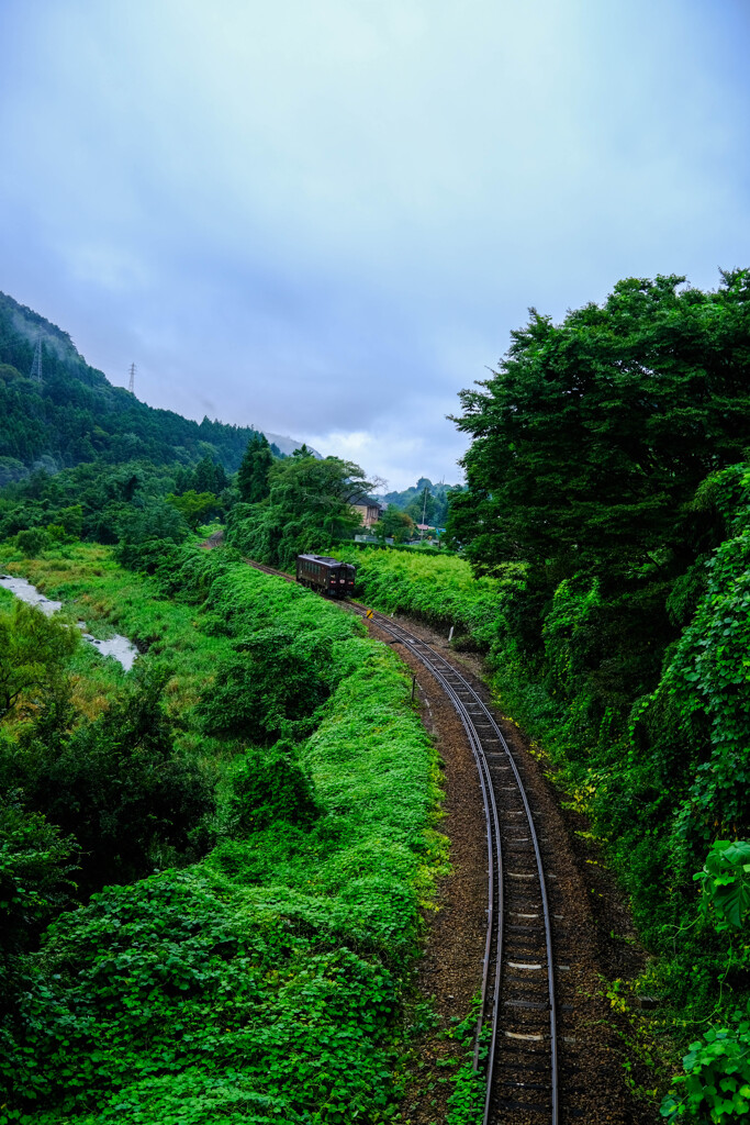 渓谷鉄道　秋の夢