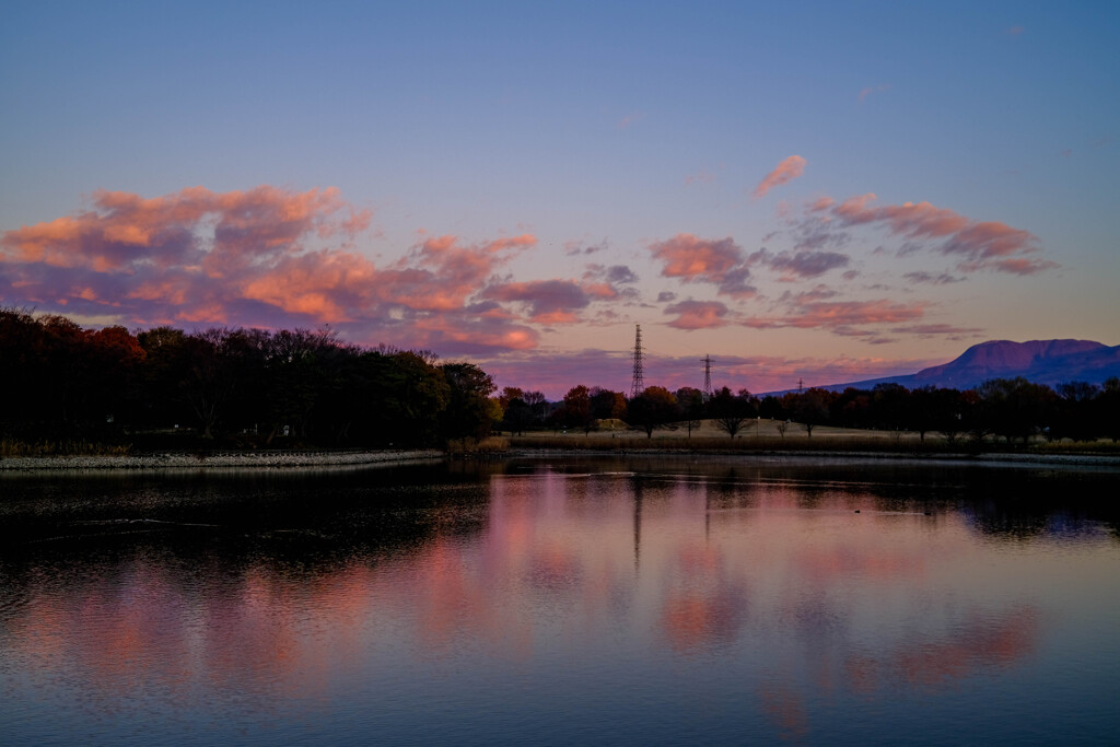 大室公園（御料沼）