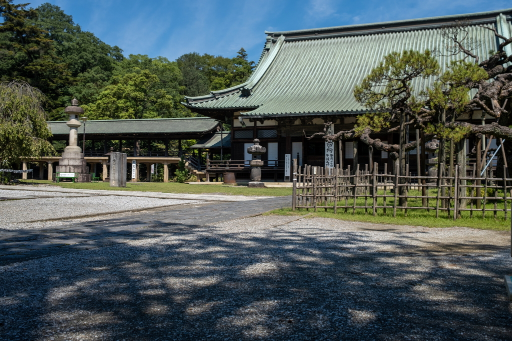 大光院