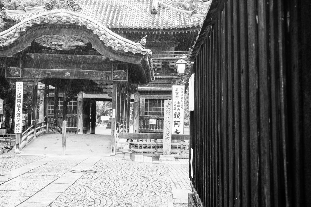 雨の鑁阿寺 
