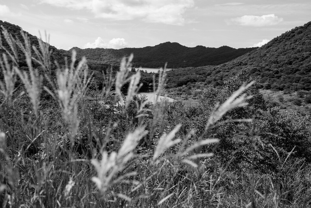 赤城山（覚満渕）