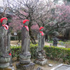 鑁阿寺の春