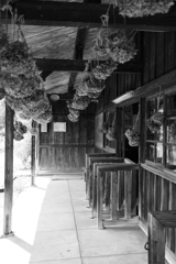 無人駅（上神梅）