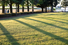せせらぎ公園の朝