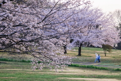 仲良きことは幸せなり、