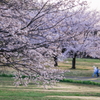 仲良きことは幸せなり、