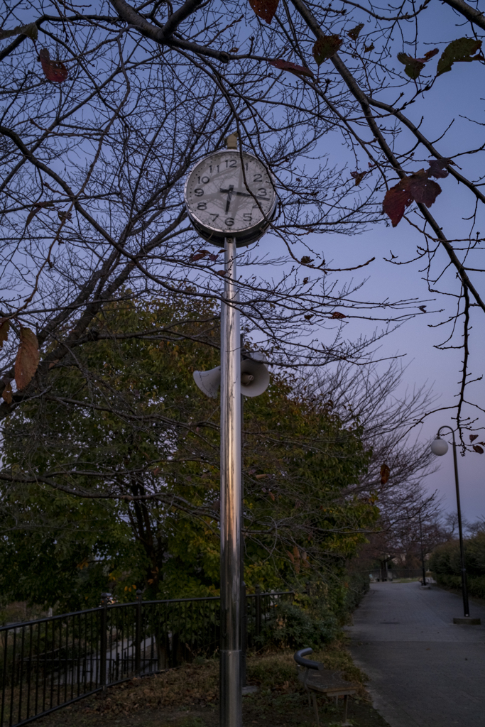 夜明けの散歩道、