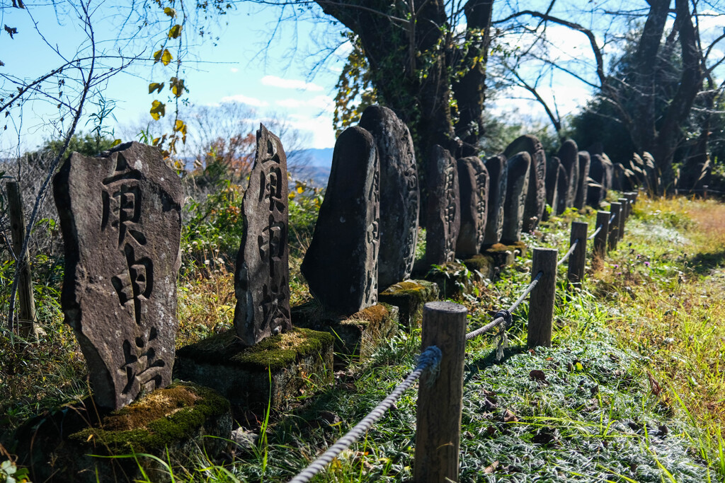 後閑城址公園　