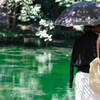 湧水池（栃木県）