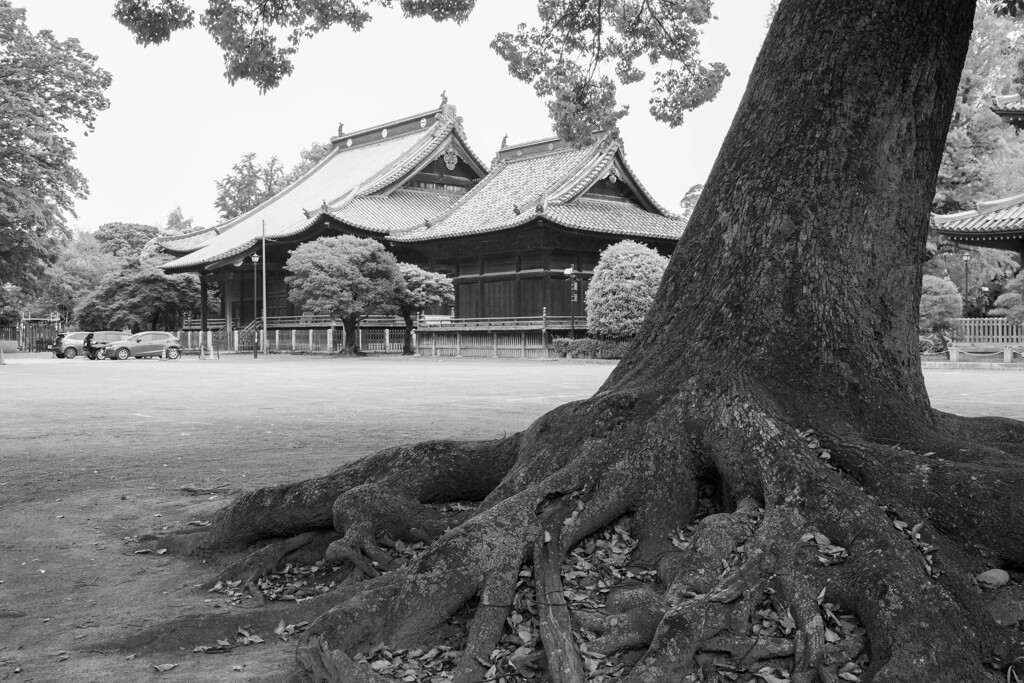 鑁阿寺　足利市