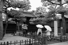 雨の日（足利学校）