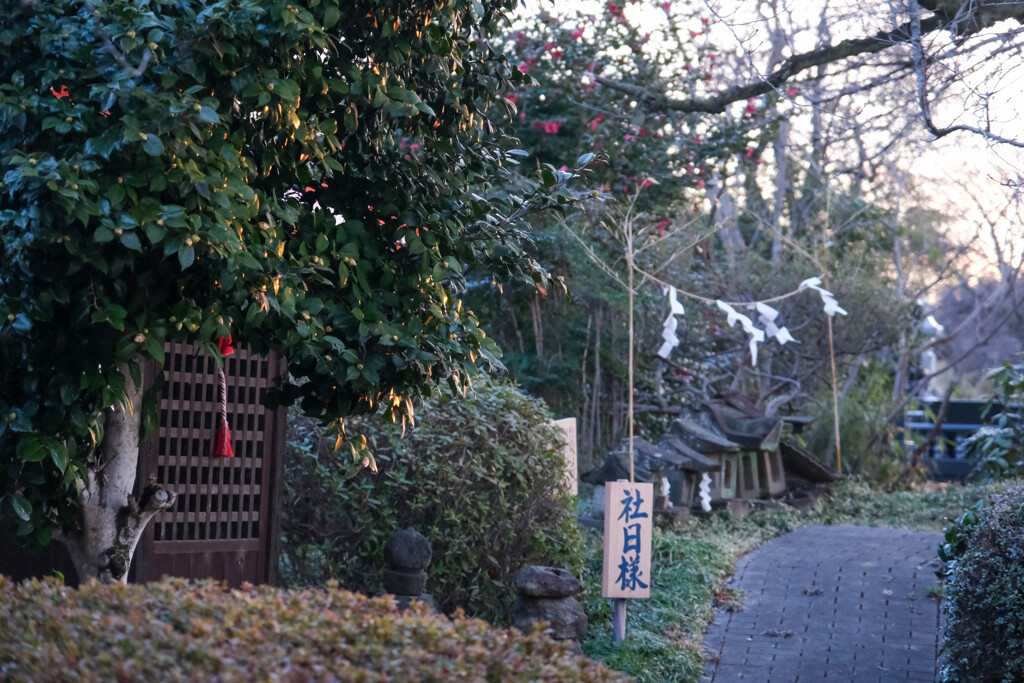 波志江沼の散歩道　