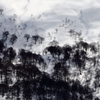 残雪と影、