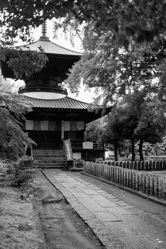 鑁阿寺を訪ねて　境内　