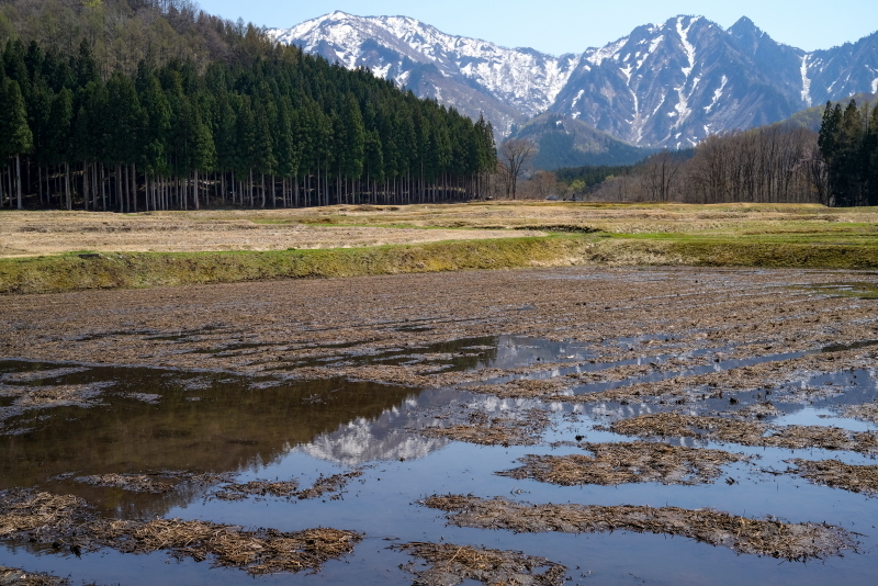 土樽春の訪れ