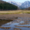 土樽春の訪れ