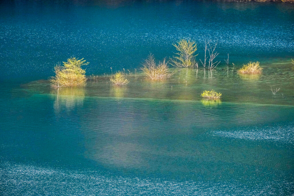 湖　畔