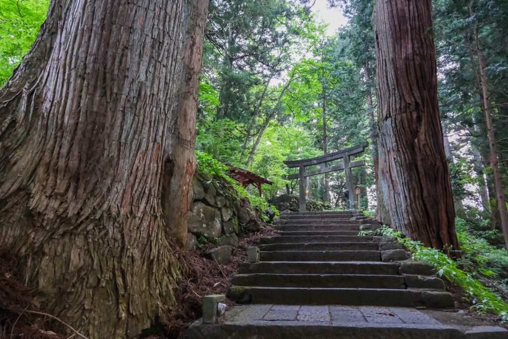 日光社寺