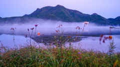 霧の朝