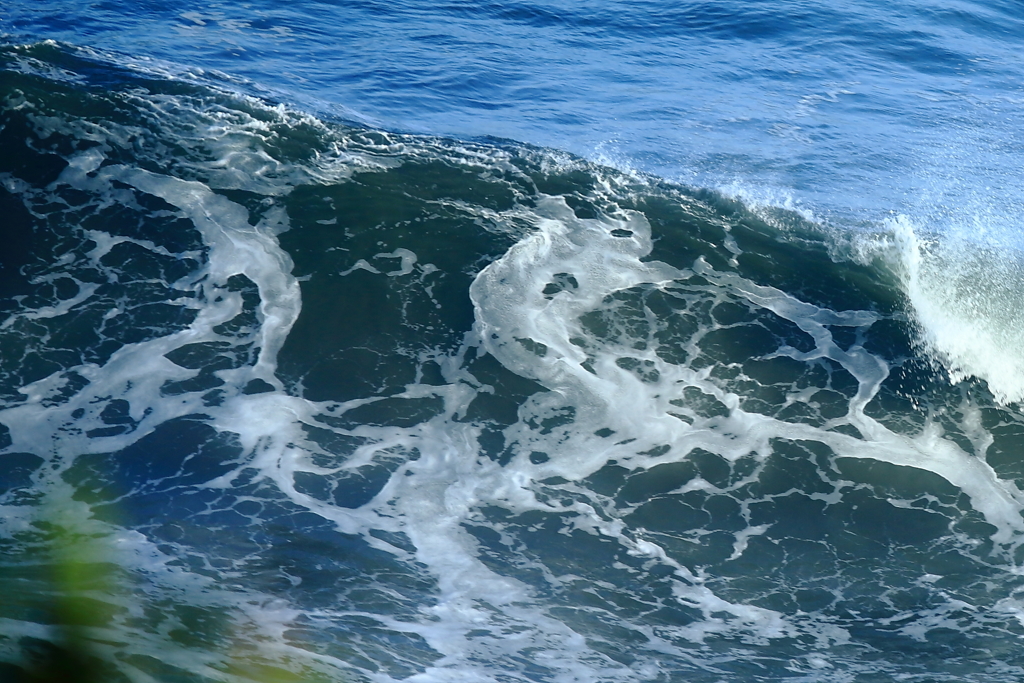 波と遊ぶ、九十九里海岸