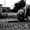大室公園