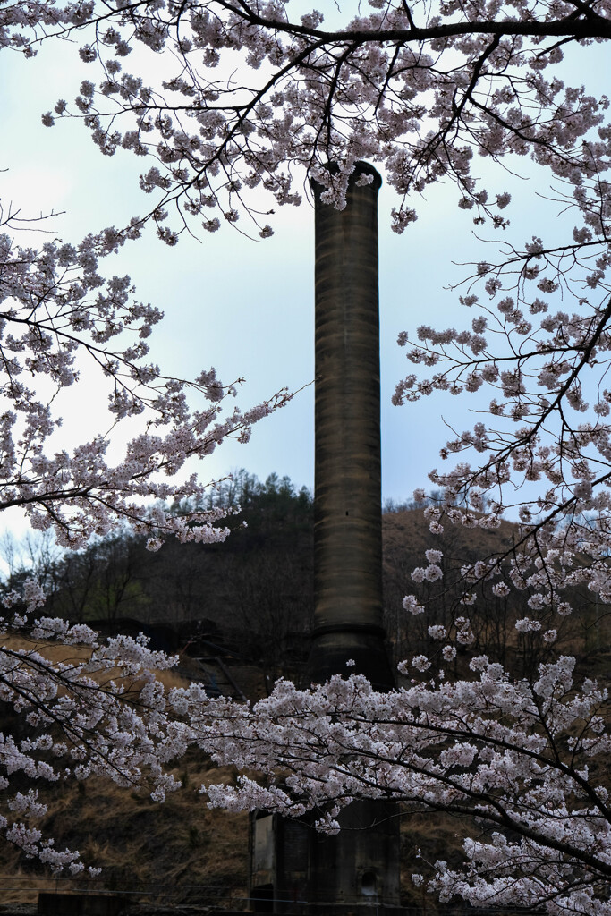 産業遺産足尾銅山　