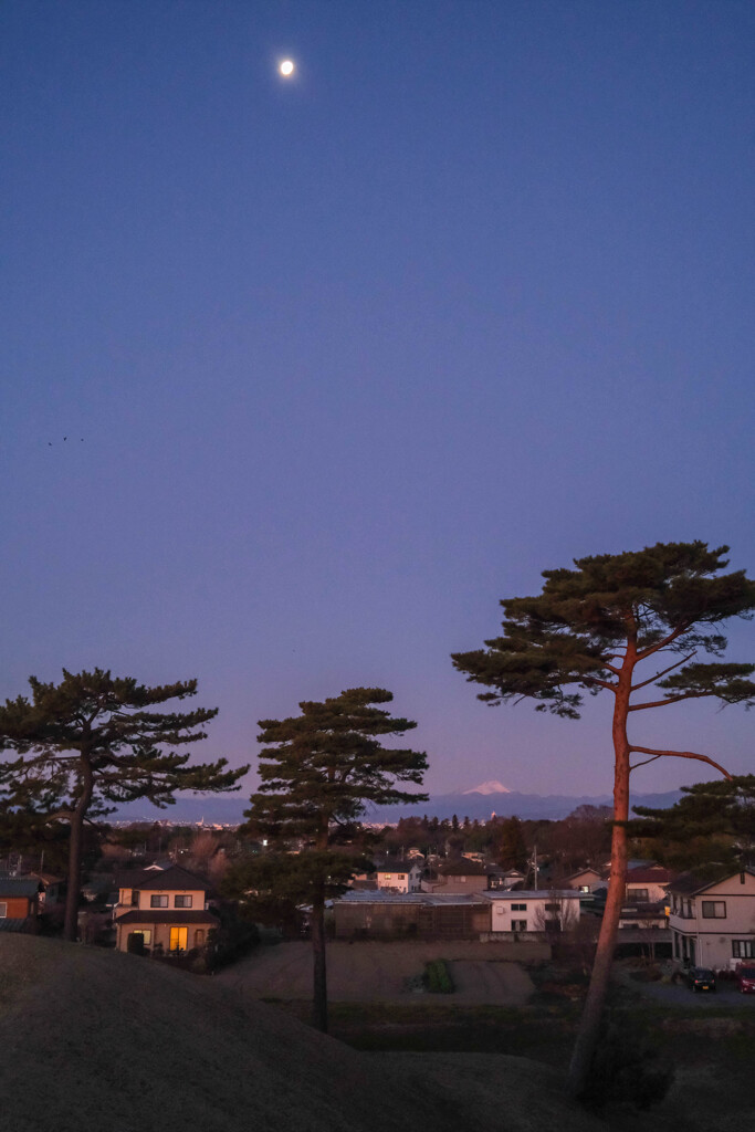 二子山古墳より