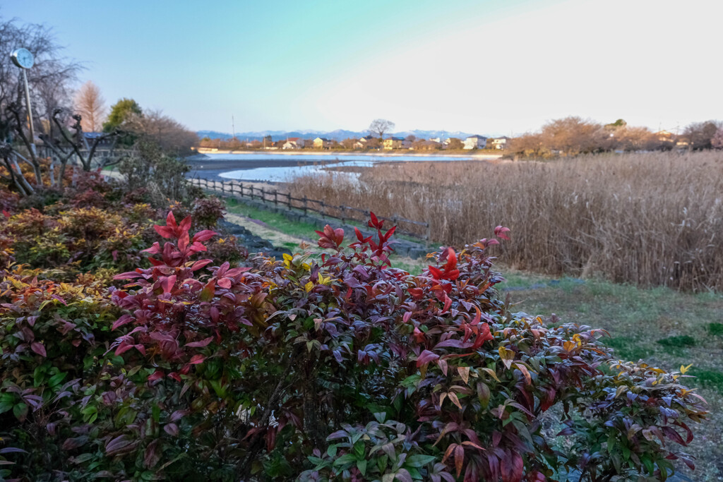 湖畔