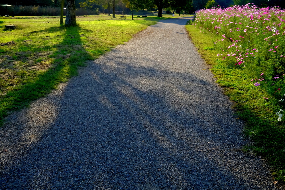 静かな遊歩道、