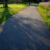 静かな遊歩道、