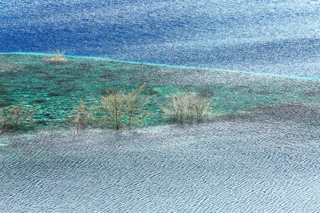 春近し　風と遊ぶ