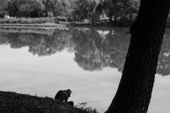 古墳公園（五料沼）