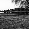 古墳公園 