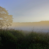 霧の朝　（沼ッ原湿原）