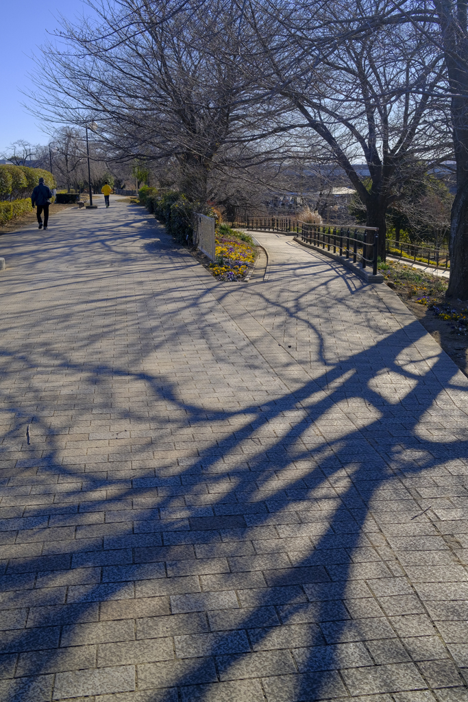 散歩道、
