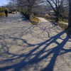 散歩道、