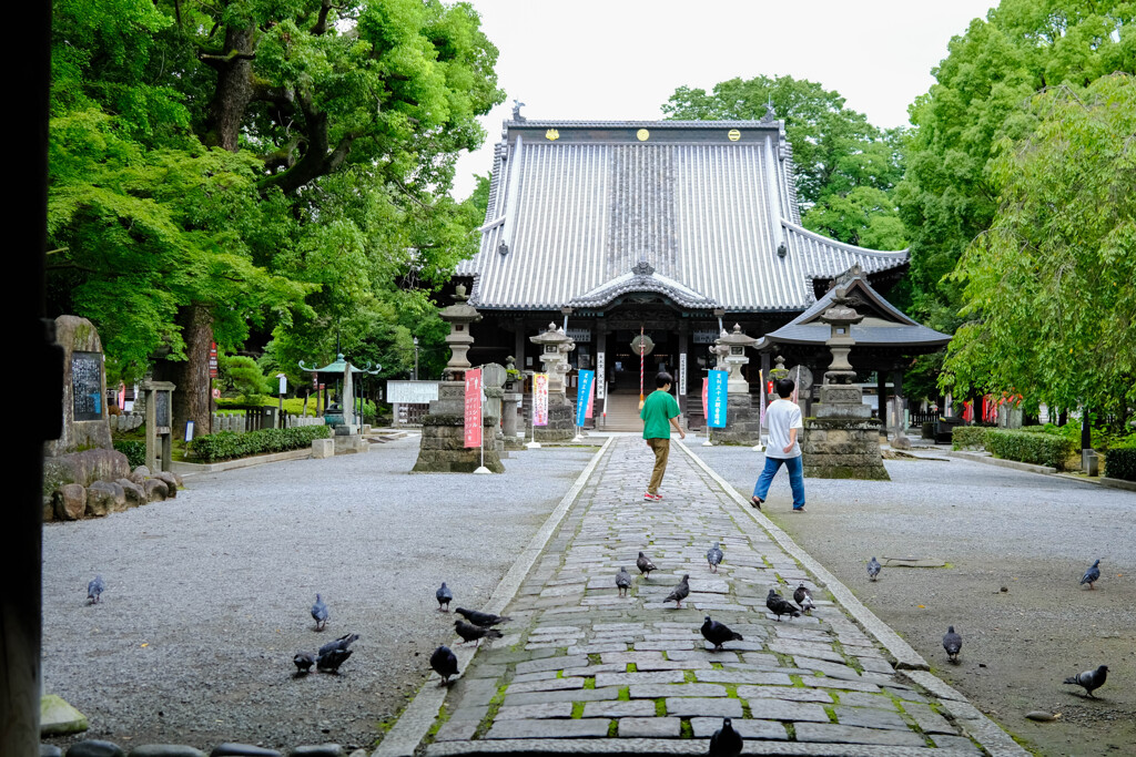 鑁阿寺