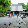 鑁阿寺