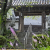 珊瑚寺