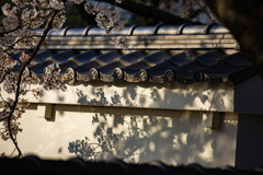 行田忍城