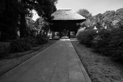 茂林寺