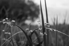 梅雨時の公園