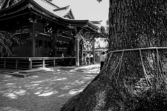 冠稲荷　（群馬太田市）