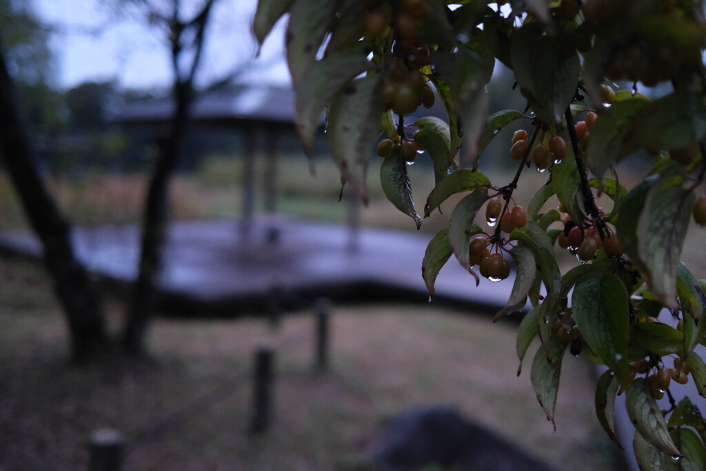 大室古墳公園