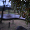 大室古墳公園