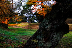 古代ロマンの郷　大室公園