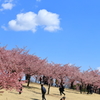 青い空と白い雲、